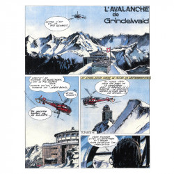 Les Baroudeurs : L'avalanche de Grindelwald