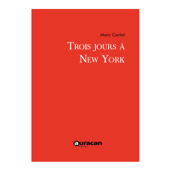 Trois jours à New York par...